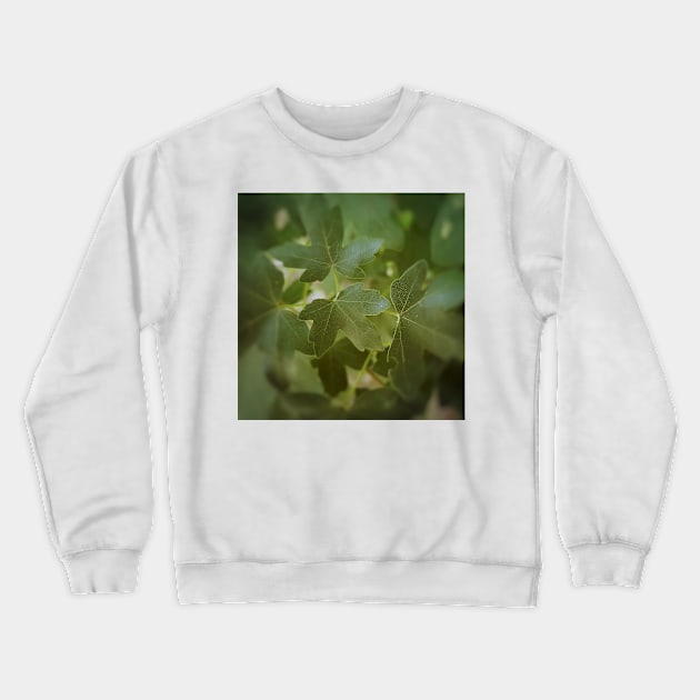 Maple Tree Green Leaves Crewneck Sweatshirt by DesignMore21